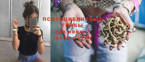 тгк Краснослободск
